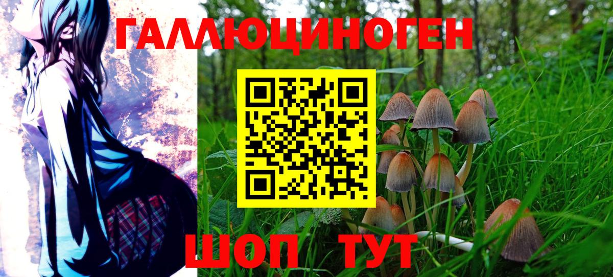 Галлюциногенные грибы ЛСД  Псилоцибиновые грибы GOLDEN TEACHER  наркота  Кимры  Вход с VPN 